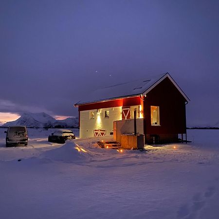 Unique Barnhouse In Amazing Gimsoy In Lofoten Saupstad  Εξωτερικό φωτογραφία