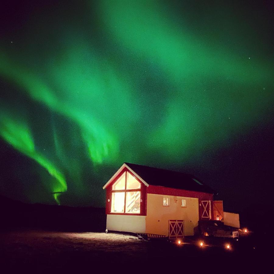 Unique Barnhouse In Amazing Gimsoy In Lofoten Saupstad  Εξωτερικό φωτογραφία