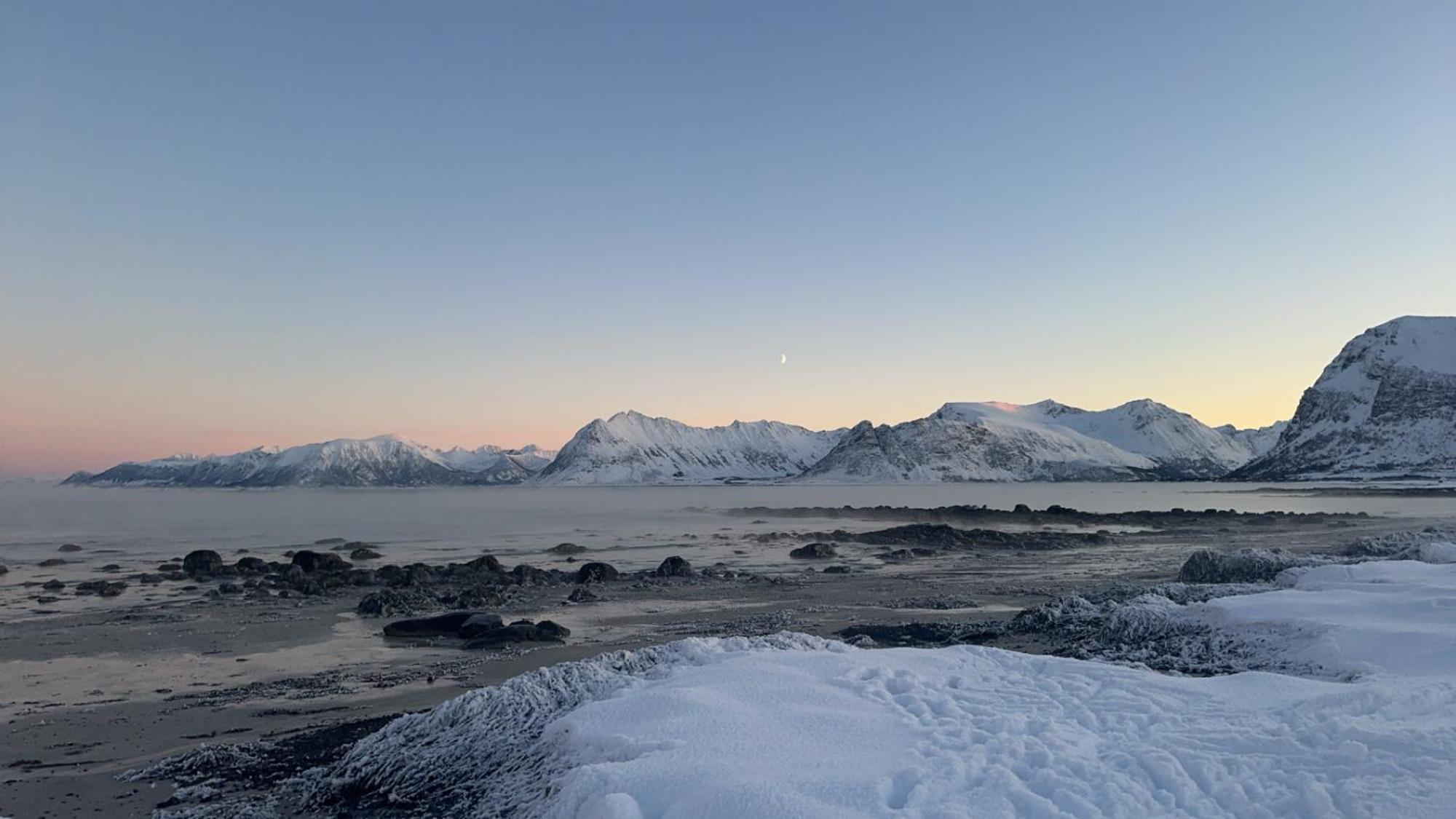 Unique Barnhouse In Amazing Gimsoy In Lofoten Saupstad  Εξωτερικό φωτογραφία